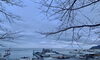 今朝の小樽港「Good morning Otaru」