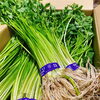 「昨日からJAいわて花巻の「江釣子せり」の入荷が始まったよー♪♪ 」