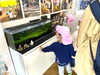 わぁ～、メダカだ！「元気いっぱい！　麻生幼稚園のお友だちが遊びに来てくれました♪」