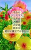 「始めるなら今しかないよね」