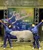 ホッキョクグマと一緒にパシャリ！「「とべZOOイルミネーション2022」AR(拡張現実)体験について」