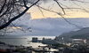 今朝の小樽港「Good morning Otaru」