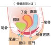 意外と知らない骨盤底筋「骨盤底筋の鍛え方[松江市カイロプラクティックダイエットサロン】」