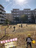 「楽しいお散歩！【交野市・小規模保育園】」