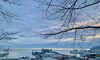 今朝の小樽港「Good morning Otaru!」