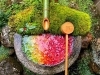 「なないろ手水　【長岡京・京たけの子 小川】」