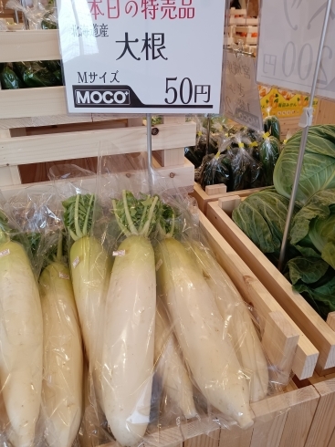 大根　50円「11/25　お買い得情報！ʕ◉ᴥ◉ʔ」