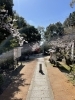 関西のゼロ磁場　意賀美神社「今年は福袋販売を復活！」
