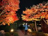 「秋の夜長のお散歩におすすめ！葛飾柴又「山本亭・柴又公園ライトアップ」2022年11月26日（土）☆葛飾大好き『石黒ヨンペイ』さん初見学♪」