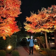 秋の夜長のお散歩におすすめ！葛飾柴又「山本亭・柴又公園ライトアップ」2022年11月26日（土）☆葛飾大好き『石黒ヨンペイ』さん初見学♪ | まいぷれ葛飾編集部のニュース | まいぷれ[葛飾区]