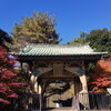 勅額門「紅葉【所沢でお散歩･散策】」