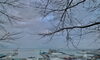 今朝の小樽港「Good morning Otaru.」