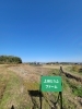 上田とうふファーム2年目収穫終了(^-^)/「上田とうふファーム2年目収穫(^-^)《西京区　大原野　大豆栽培　たんぱく質　》」