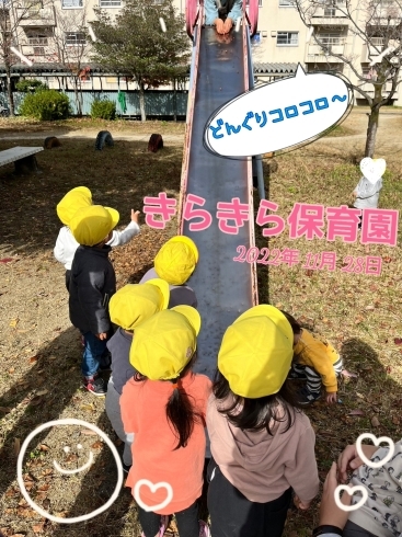 「どんぐりコロコロ～【交野市・小規模保育園】」