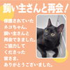 「＜速報＞見つかりました！【西条市船屋付近の迷い猫】」