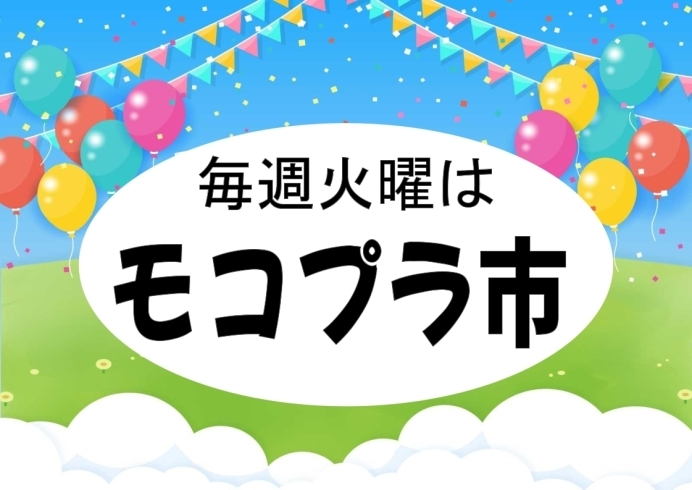 毎週火曜はモコプラ市！「11/29はMOCO+市‼」