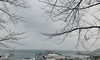 今朝の小樽港「Good morning Otaru」
