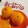 「愛媛県産「紅まどんな」の入荷が始まっていますよー！！」