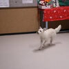 「今日のお友達」