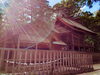 本殿に太陽の光降り注いで、神秘的です。「須佐神社遷宮の看板第2段」