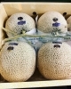 ミネラルメロン→高知「12月1日船橋市場での魚介&フルーツの仕入れです。」