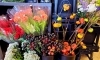 秋のお花 枝物入ってます 花みずきぷち ふるーる両三柳店のニュース まいぷれ 米子
