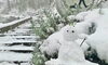 雪かきシーズン「Good morning Otaru」