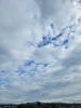 寒くなりましたが、気持ちいいですよ～「師走ε=┌(；・∀・)┘《西京区　大原野　旨い豆腐　豆腐の季節　あげの季節》」