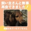 「＜速報＞無事に飼い主さんと再会できました！【新居浜市　環境衛生課】」