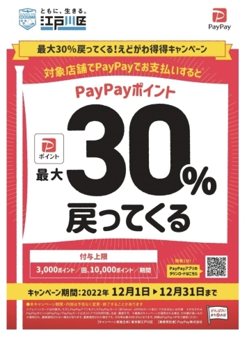 「今日からPayPayで支払うと最大30%戻ってくる！」