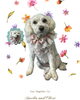 「Dog salon mofu mofu　余市町」