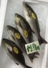 「魚魚市場鮮魚コーナーおすすめは「イサキ」「クロムツ」です♪」