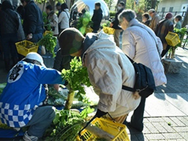 「旬の春菊をはじめ葛飾で採れた新鮮野菜「歳の市（農業交流市）」♪［2022年12月10日（土）14時〜葛飾区郷土と天文の博物館　館前広場］」