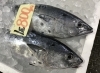 「魚魚市場鮮魚コーナーおすすめは「ヤイトガツオ」「お弁当」です」