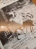 「《第2回 亀さん展》本日終了しました」