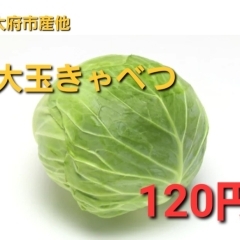 ☆大特売☆大玉キャベツ120円‼️大府市/野菜直売/新鮮