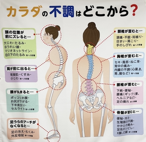 「骨盤のメンテナンスは大丈夫ですか？」