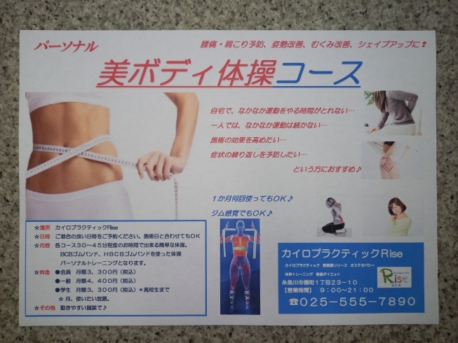 正規激安】 ビューティーコントロールバンドHBCBトレーニング健康