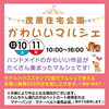 かわいいマルシェ「今週末は「かわいいマルシェ」開催！！【ショッピングプラザアスモの隣りにある外房エリア唯一の総合住宅展示場】」