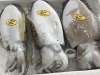 「魚魚市場鮮魚コーナーおすすめは「コウイカ」です」