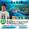 Lp6abedj796i5m