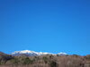 「本日12/10日帰り入浴営業します。」