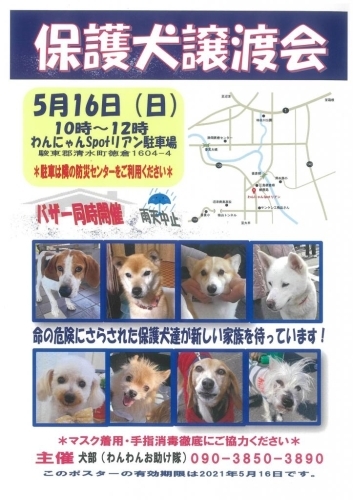 会 保護 犬 譲渡 anifareがコロナ禍で保護依頼急増を受けて保護犬譲渡会を開催