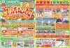 今週から折込予定のチラシ画像です「生活応援キャンペーンスタート!~外壁塗装専門店のユウマペイント船橋店」