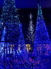 「Christmas Special Night」