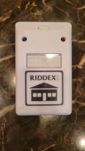 RIDDEX「飲食店の天敵」
