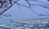 今朝の小樽港「Good morning Otaru」