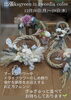 「コラボイベントのお知らせ」