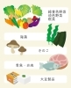 食べるといい食材「若年性更年期、ホットフラッシュ対策！カギは「腸」」