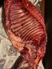骨付きの猪肉、半身。ここから捌いていきます！「野生のイノシシ入荷しました！！」